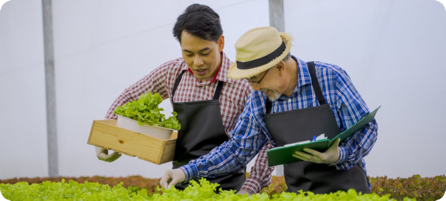 farmers looking at food