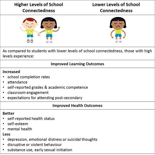 Levels of connectedness graphic