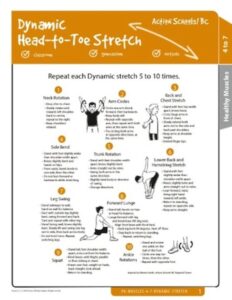 Dynamic Head-to-Toe Stretch Activity Gr 4-7 image
