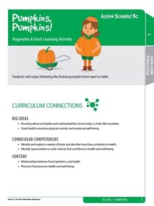 Pumpkins, Pumpkins! Activity Gr 1 image