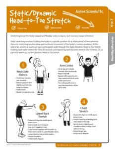 Static/Dynamic Head-to-Toe Stretch Activity Gr 4-7 image