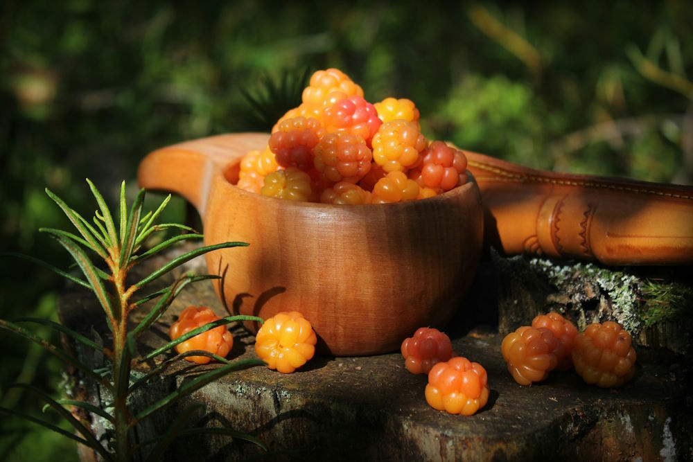 Salmon Berries