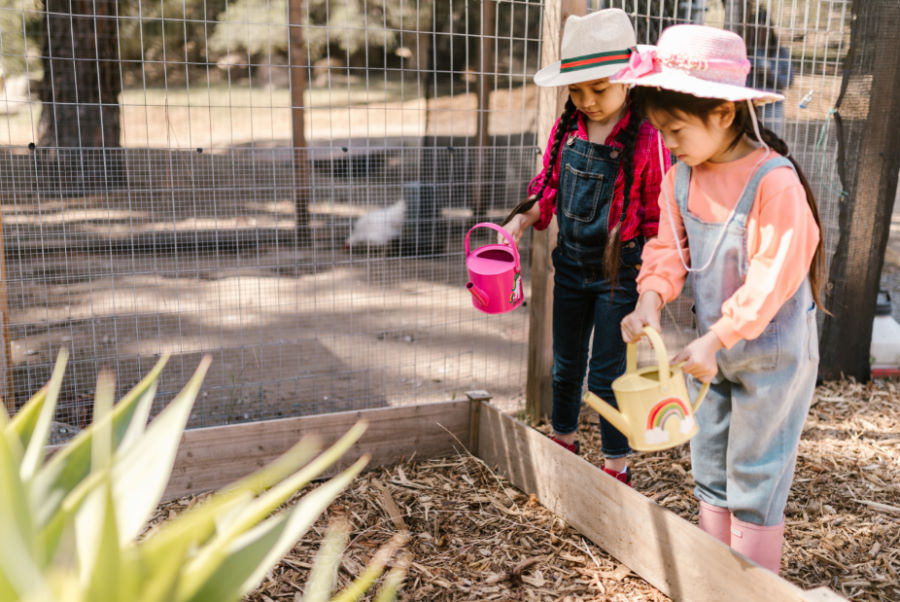 Children watering a garden - F25 Grants