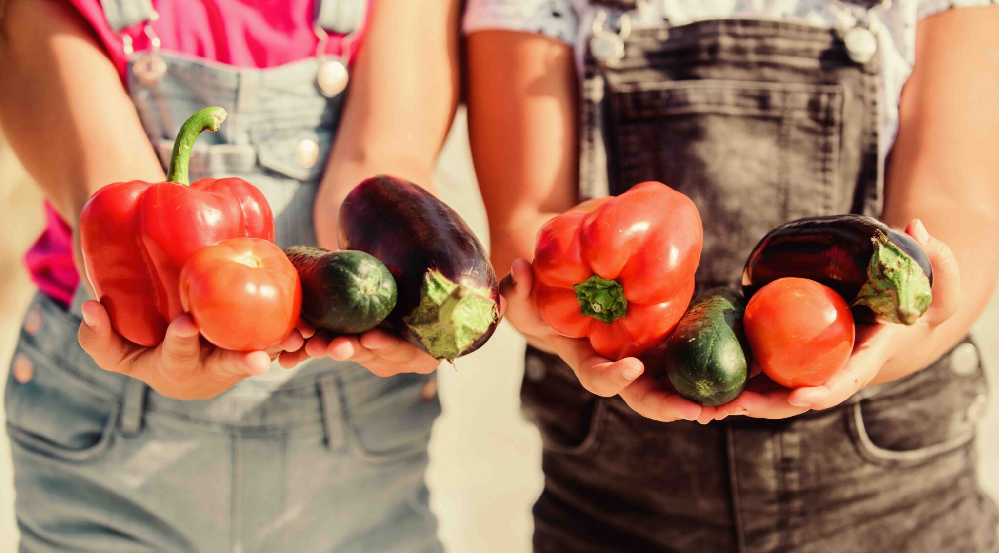 Garden Grant Program HealthySchools BC